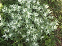 0abb86d3-Picture 007.jpg
